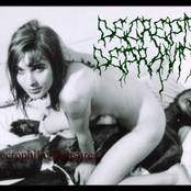 Necrophilic Pleasures