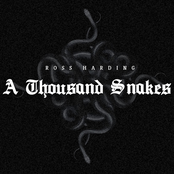 A Thousand Snakes
