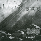 Veineliis / Kältetod