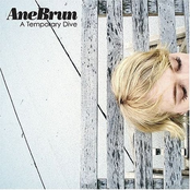 My Lover Will Go by Ane Brun