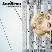 Ane Brun: A Temporary Dive