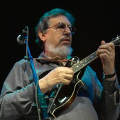 david bromberg quartet