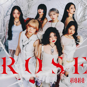 Hana: Rose