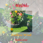 Endless Wind / Solicitor