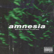 Amnesia