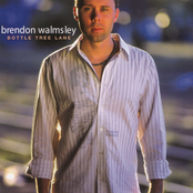 Count Me In by Brendon Walmsley