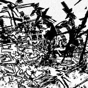 untimely divorce of tooth + gum