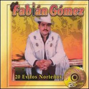 20 Exitos Nortenos