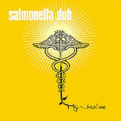 Beat The Game by Salmonella Dub