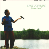 Lone Fern