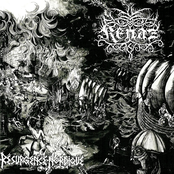 Résurgence Nordique