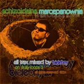 Schizoidalna Marcepanownia