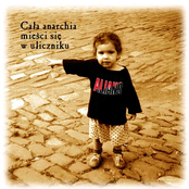 Cała Anarchia Mieści Się W Uliczniku
