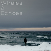 Whales & Echoes