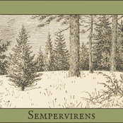 Sempervirens