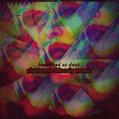 Electronic B​(​lo​)​ody Music