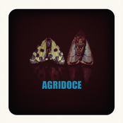 Say by Agridoce