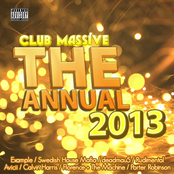 The Annual 2013 - Club Massive