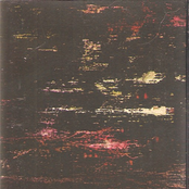 Crawling Across the Rafters