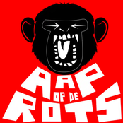 Aap Op De Rots