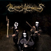 Obscure Forest,Destructive Illusion