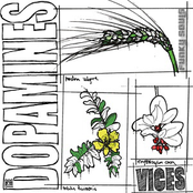 Kitchen Cleaners by The Dopamines