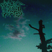 Serenity Before the Inner Tempest