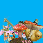 When The Music Drops