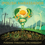 The Polish Ambassador: Pushing Through the Pavement