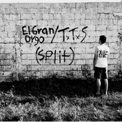 El Gran Orgo / T​.​T​.​S split