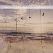 Eu Quero Ver o Oceano