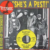 Teenage Shutdown - Vol. 15 (She's A Pest!)