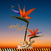 Real Talk Fake Friends