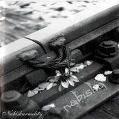 Nabiskarnality