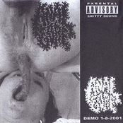 Demo 1-8-2001