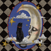 Luvcat: Love & Money