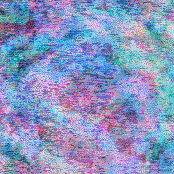 bodyguards: Complacency