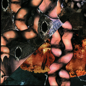 Origin Of The Species Volume Too! - Third Tablet Of Acid