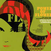 Power of Flower: The High-End of Electronic Lounge Music