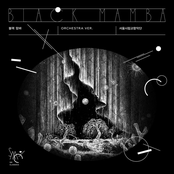 Seoul Philharmonic Orchestra: Black Mamba (Orchestra Version)