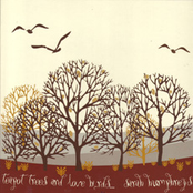 Teapot trees and love birds...