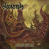 Defleshed Exhumation