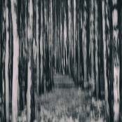 Corpseincinerating Furmace / Eii Yoshizawa