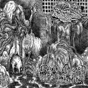 Sewers Clogged With Human Mush