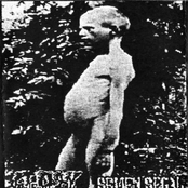 lt.dan / semen segal