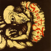 The Acracy Discourse Album Picture