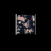 In Death I Am Your Silhouette // Love Will Always Be Regret