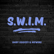 S.W.I.M.
