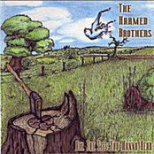 Kansas Wind by The Harmed Brothers