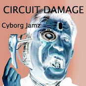 Circuit Damage